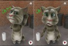 App I Love: Talking Tom