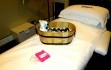 Myfashdiary experiences... Cowshed's 'moody' body massage. 