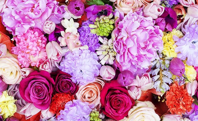Interview with Mark Colle, the man behind the Fashion Flowers. 