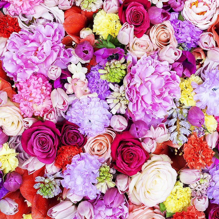 Interview with Mark Colle, the man behind the Fashion Flowers. 